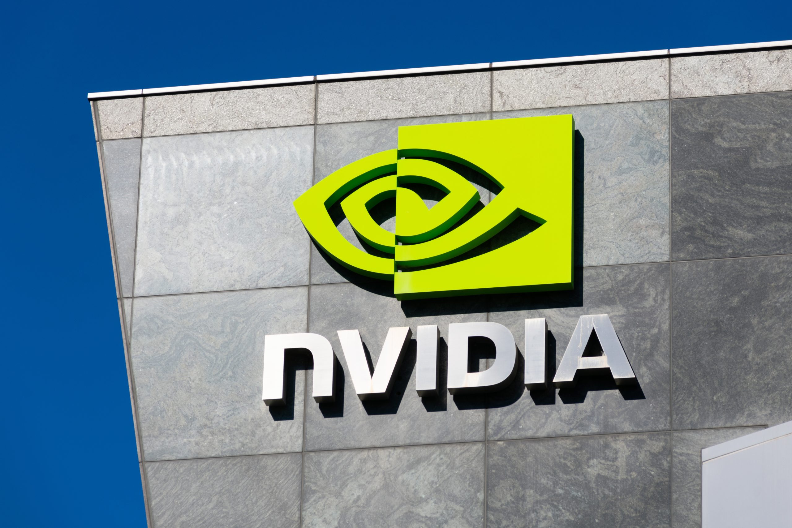 NVIDIA chips market domination